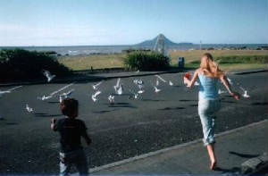 seagullz.jpg